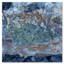 Kristalle auf dem Weg zum Gletscher