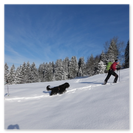 Schneeschuhwanderungen für Einsteiger