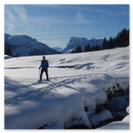 Hochwinterliche Stimmung während der Schneeschuhtour im Glarnerland