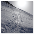 Einsame Skispur am Näbelchäppler