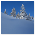 Unberührtes Wintergelände im Glarnerland